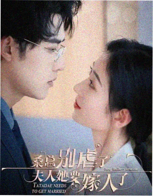韩剧岁月长巷封面图